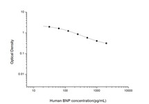 Human Signal Transduction ELISA Kits